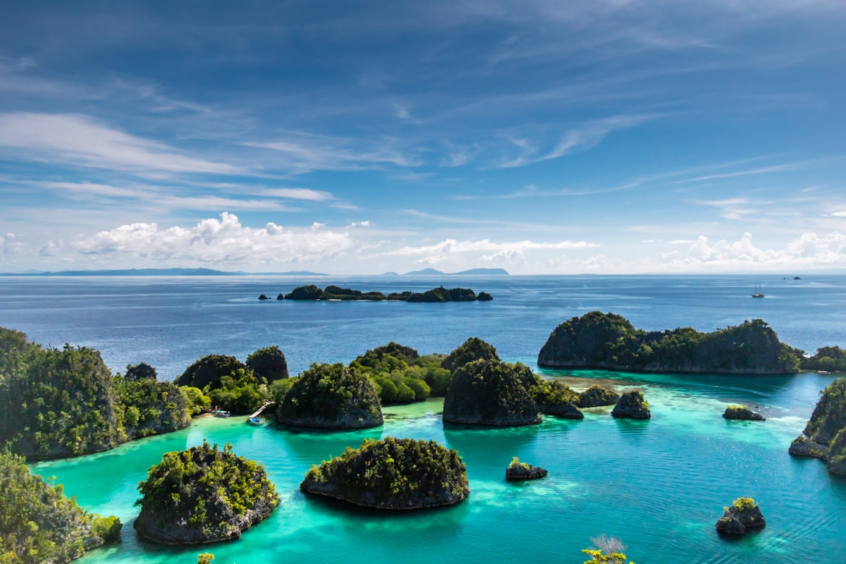 Chiffon international Tour & Travel