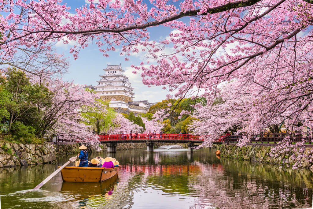 Japan Sakura Season 9D8N